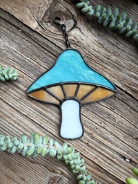 Teal Mushroom