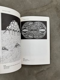 Image 14 of Image Noise – Image Frenzy: Drugs as a Medium for Art in the 1970s - Ed. Thomas Röske