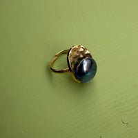 Image 1 of Bague « SOLIDOR »