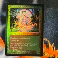 Image 2 of MTG - Sheltered Thicket AP (Foil)