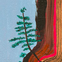 Image 3 of Cambium Layer