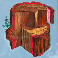 Image 1 of Cambium Layer