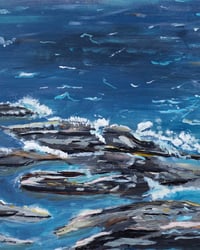 Image 2 of "Beavertail" - Studio Print