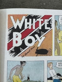 Image 2 of White Boy in Skull Valley: The Complete Sunday Comics 1933-1936 - Garrett Price 