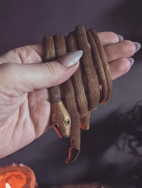 Image 3 of Mesh snake belt 