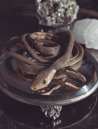 Image 2 of Mesh snake belt 