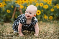 Image 3 of Sunflower Minis