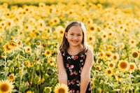 Image 4 of Sunflower Minis