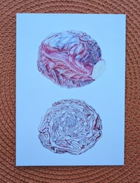 Image 5 of Art Cards - Special Collection *NEW*