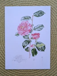 Image 1 of Art Cards - Special Collection *NEW*