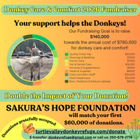 Image 2 of Donate - Donkey Care & Comfort 2026 Matching Fund