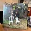 Bad Bunny "Debi Tirar Más Fotos" Vinyl (New)