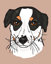 Custom Pet Art