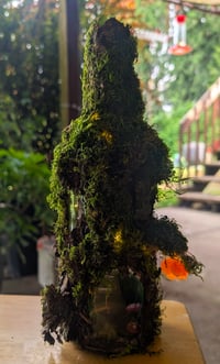 Image 1 of Enchanted Forest Fairy bottle House class 