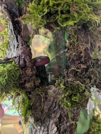 Image 2 of Enchanted Forest Fairy bottle House class 