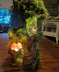 Image 3 of Enchanted Forest Fairy bottle House class 