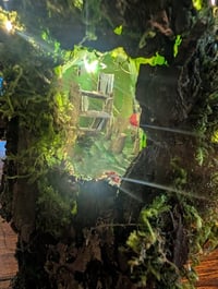 Image 4 of Enchanted Forest Fairy bottle House class 