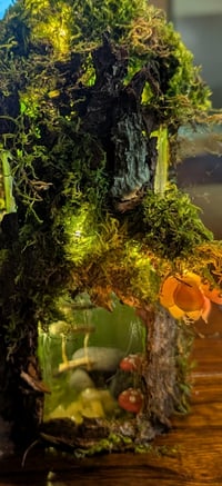 Image 5 of Enchanted Forest Fairy bottle House class 