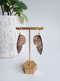 Image 1 of Moss Meadows Marble Wings