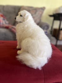 Image 1 of 12” Sitting Great Pyrenees  FREE SHIPPING 