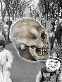 Image 3 of Chocolate “Post Mortem” Skull Mask 