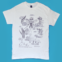 Image 1 of Hadas - Camisa