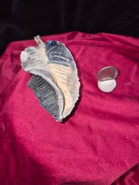 Image 4 of Leaves 3