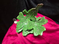 Image 3 of Leaves 1