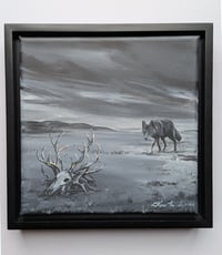 Coyoteland