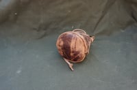 Image 6 of Drawstring Pouch Wax Goat Leather