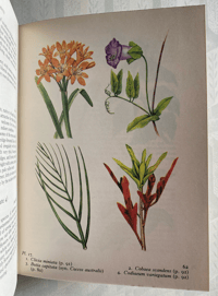 Image 3 of The Book of House Plants