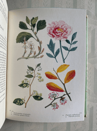 Image 2 of The Book of Flowering Trees and Shrubs 