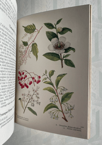 Image 3 of The Book of Flowering Trees and Shrubs 