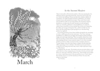 Image 2 of A Year in Nature: A Celebration of the Seasons