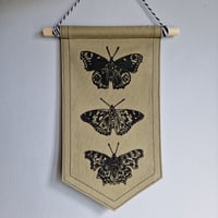 Image 5 of ☆Butterflies☆