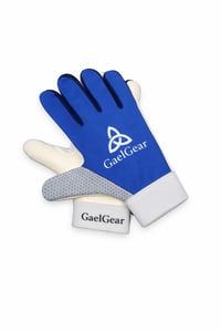 Blue and White Gloves