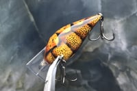 Image 3 of Custom Airbrushed S-CRANK 1.2 Squarebill Crankbait 2704
