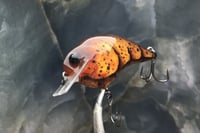 Image 6 of Custom Airbrushed S-CRANK 1.2 Squarebill Crankbait 2857
