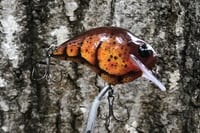 Image 8 of Custom Airbrushed S-CRANK 1.2 Squarebill Crankbait 2857
