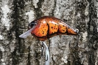 Image 10 of Custom Airbrushed S-CRANK 1.2 Squarebill Crankbait 2857