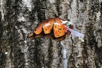 Image 10 of Custom Airbrushed S-CRANK 1.2 Squarebill Crankbait 2704