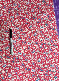 Image 2 of 6” feedsack square