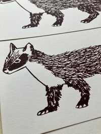 Image 2 of Pine Marten Card