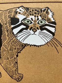 Image 2 of Pallas`s Cat Card 