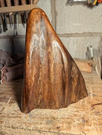 Image of 1. Driftwood Ghost