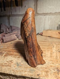 Image of 2. Driftwood Ghost