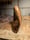 Image of 2. Driftwood Ghost