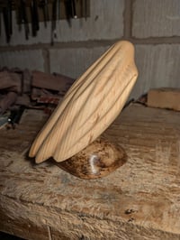 Image of 3. Pine Ghost on Driftwood
