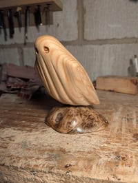 Image of 3. Pine Ghost on Driftwood