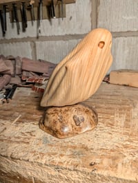 Image of 3. Pine Ghost on Driftwood